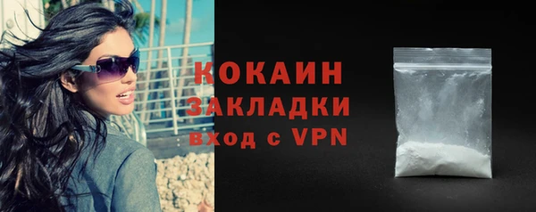 шишки Няндома