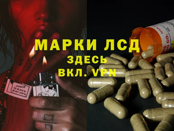 стафф Алексеевка