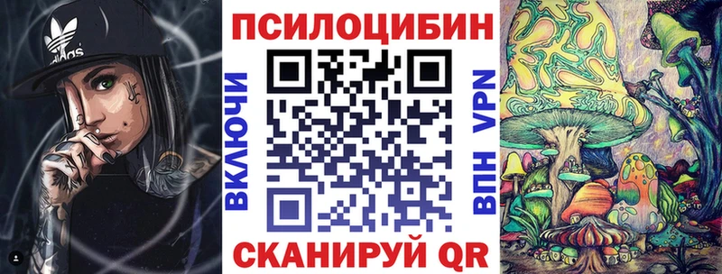 Галлюциногенные грибы Psilocybe  Юрьевец 